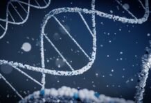 Who Should Take GlucoTrust? A Complete Guide for Pre-Diabetics and Metabolic Health Who should take GlucoTrust blood glucose monitor